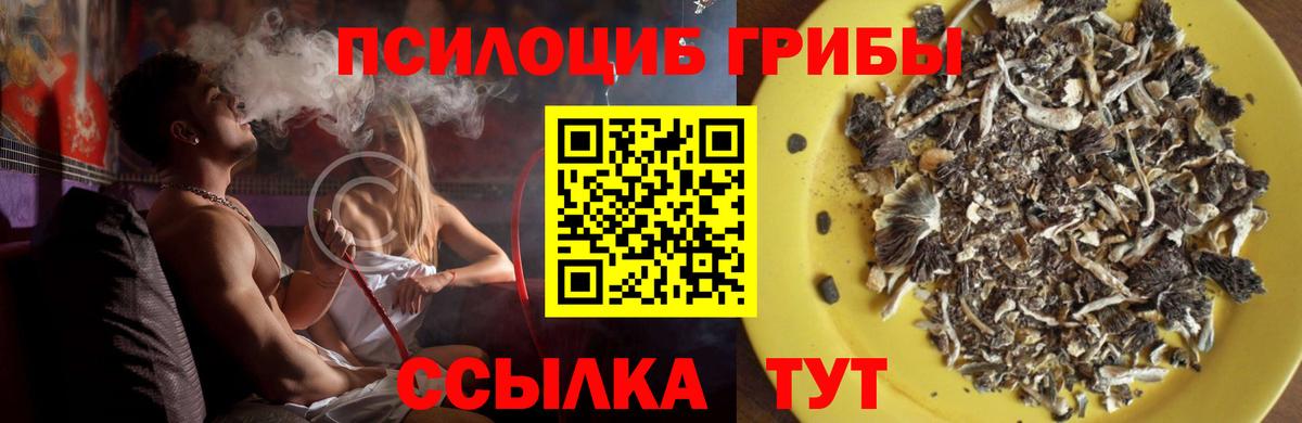 Псилоцибиновые грибы Psilocybe  Вход с VPN  Шарыпово  Галлюциногенные грибы ЛСД 